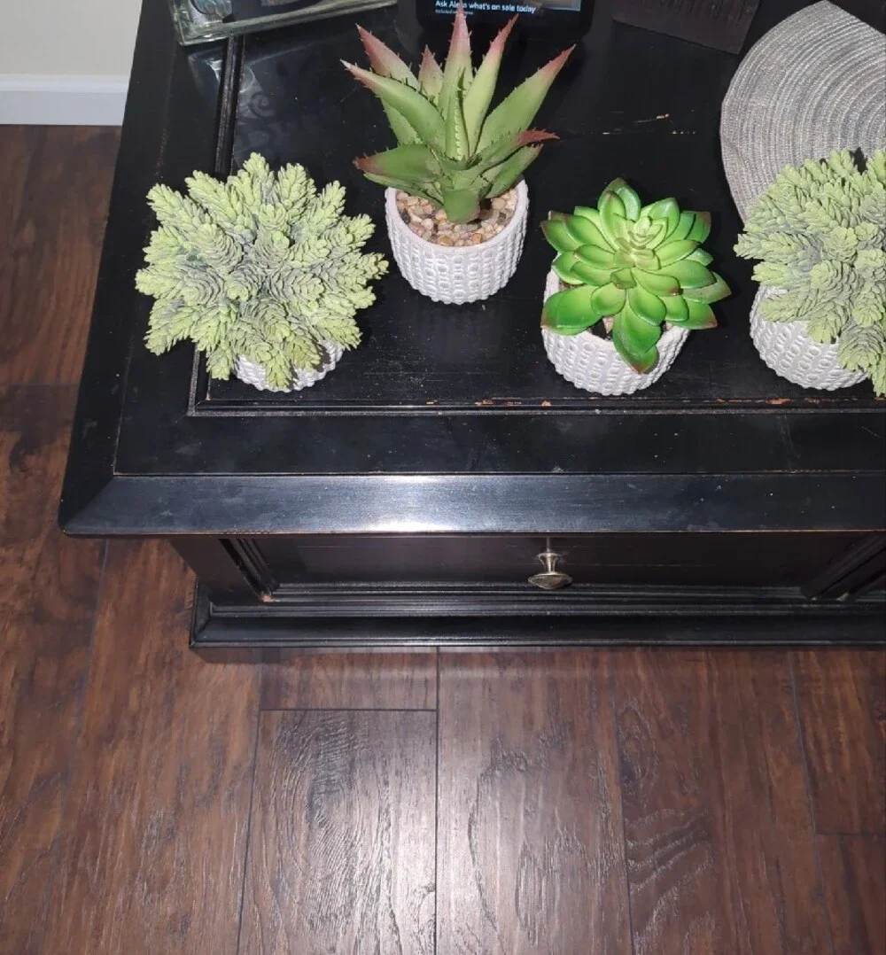 Artificial Succulent 2 Trio Sets (6 Total) in White Ceramic Pots - Home Accents